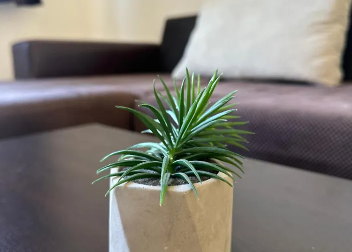 Lions Bridge C-e-n-t-r-a-l Lejlighed Sofia